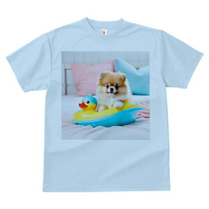 TVc Y LbY t@  t vg JWA 킢 lԗp tBbglX }b` Aq̂ |jA JtȖ xbh ʂ