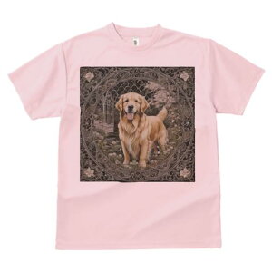 TVc Y LbY t@  t vg JWA 킢 lԗp tBbglX }b` A[`^̃Q[g S[fgo[  A