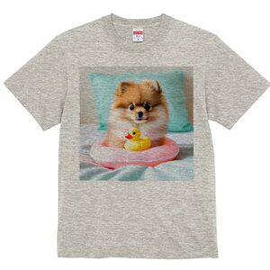 TVc Y LbY t@  t vg JWA 킢 lԗp tBbglX }b` Aq̂ |jA sN̕ xbh  ѕz