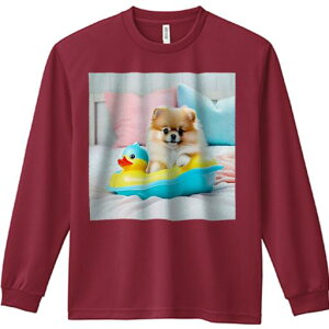 Aq̂ |jA JtȖ xbh ʂ TVc lԗp Y Ht vg W[ AEghA JWA 킢