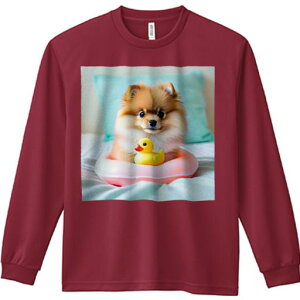 Aq̂ |jA sN̕ xbh  ѕz TVc lԗp Y Ht vg W[ AEghA JWA 킢