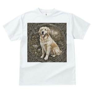 TVc Y LbY t@  t vg JWA 킢 lԗp tBbglX }b`  S[fgo[ 뉀  A[` t