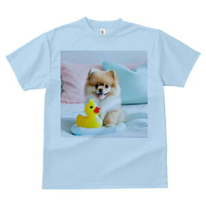 TVc Y LbY t@  t vg JWA 킢 lԗp tBbglX }b` ʂ |jA xbh sÑNbV ~gO[̃NbV