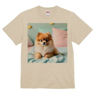 TVc Y LbY t@  t vg JWA 킢 lԗp tBbglX }b` ʂ |jA NbV xbh pXeJ[