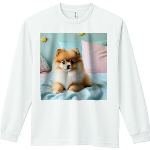 ʂ |jA NbV xbh pXeJ[ TVc lԗp Y Ht vg W[ AEghA JWA 킢