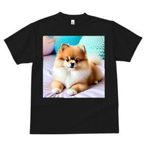 TVc Y LbY t@  t vg JWA 킢 lԗp tBbglX }b` sN̕zc |jA NbV ʂ