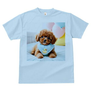 TVc Y LbY t@  t vg JWA 킢 lԗp tBbglX }b` D gCv[h xbh ʂ  Ԃ