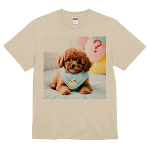 TVc Y LbY t@  t vg JWA 킢 lԗp tBbglX }b` Aq̂ʂ gCv[h D NbV