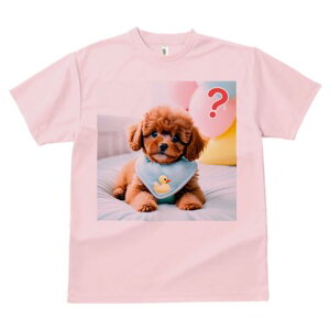 TVc Y LbY t@  t vg JWA 킢 lԗp tBbglX }b` Aq̂ʂ gCv[h D NbV