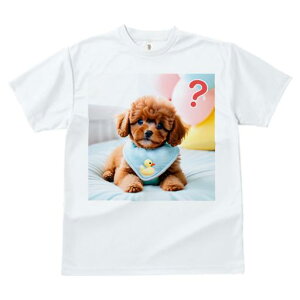 TVc Y LbY t@  t vg JWA 킢 lԗp tBbglX }b` Aq̂ʂ gCv[h D NbV