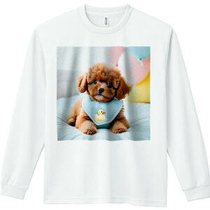 D gCv[h xbh ʂ  Ԃ TVc lԗp Y Ht vg W[ AEghA JWA 킢