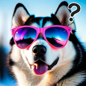 TOX VxAnXL[ NGX`}[N  O NbVJo[ 45×45cm Aj}   NbV{̕t `