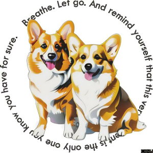 q EFVR[M[ 킢  Ƒ Ί NbVJo[ 45×45cm Aj}   NbV{̕t `