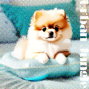 \t@ |jA NbV NbVJo[ 45×45cm Aj}   NbV{̕t `