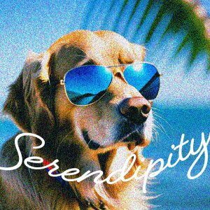 TOX S[fgo[ C V̖ i  NbVJo[ 45×45cm Aj}   NbV{̕t `