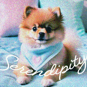 ӂӂ |jA 킢 i` sN n[g NbVJo[ 45×45cm Aj}   NbV{̕t `