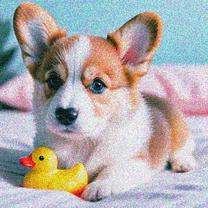 ʂ R[M[ xbh  q NbVJo[ 45×45cm Aj}  NbV{̕t `