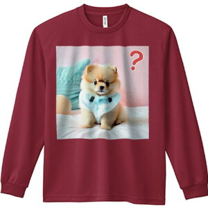 xr[ |jA  sN NbV ʂ TVc lԗp Y Ht vg W[ AEghA JWA 킢