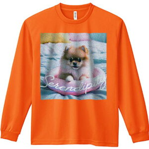 xbh |jA NbV  ѕz TVc lԗp Y Ht vg W[ AEghA JWA 킢