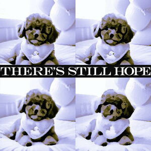 ] LoALO`[YXpjG  ʂ  炬 NbVJo[ 45×45cm Aj}   NbV{̕t `