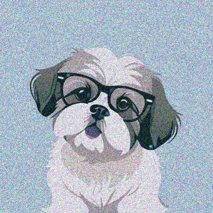 Kl V[Y[  ̃CXg fW^A[g pXeJ[ NbVJo[ 45×45cm Aj}  NbV{̕t `