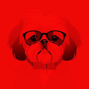 Kl V[Y[ Ԕwi NbVJo[ 45×45cm Aj}   NbV{̕t `