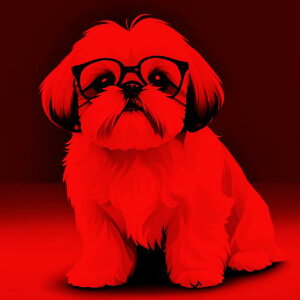 Kl V[Y[   NbVJo[ 45×45cm Aj}   NbV{̕t `