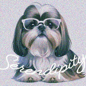 Kl V[Y[  킢 OtBbNfUC NbVJo[ 45×45cm Aj}  NbV{̕t `