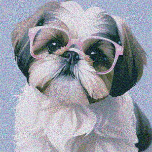 Kl V[Y[   IV ybgt@bV NbVJo[ 45×45cm Aj}  NbV{̕t `