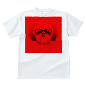 TVc Y LbY t@  t vg JWA 킢 lԗp tBbglX }b` Kl V[Y[ Ԕwi