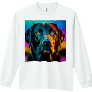 F uh[go[ |bvA[g Jt  G TVc lԗp Y Ht vg W[ AEghA JWA 킢