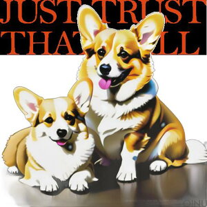  EFVR[M[yu[N  ybg  Ƒ NbVJo[ 45×45cm Aj}  NbV{̕t `