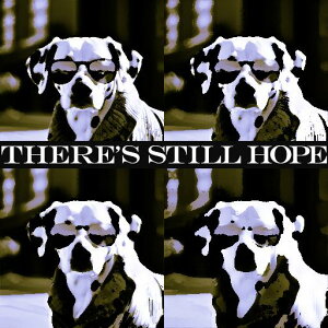 ዾ {NT[ Z[^[  ] NbVJo[ 45×45cm Aj}   NbV{̕t `