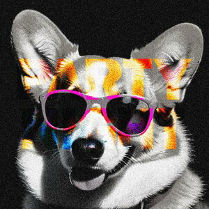 �T���O���X �E�F���V���R�[�M�[ �N�[�� ���� �J���[�A�N�Z���g �t�@�b�V���� �N�b�V�����J�o�[ 45×45cm �A�j�}���� ������� ���� �N�b�V�����{�̕t�� �����`