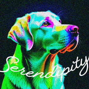 Jt uh[go[ |p K^ |X^[ A[g NbVJo[ 45×45cm Aj}   NbV{̕t `