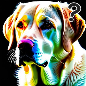 A[g uh[go[ Jt ۓI }[N NbVJo[ 45×45cm Aj}   NbV{̕t `