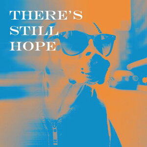 �T���O���X ����s�� �s�� �t�@�b�V���� ��] �N�b�V�����J�o�[ 45×45cm �A�j�}���� ������� ���� �N�b�V�����{�̕t�� �����`