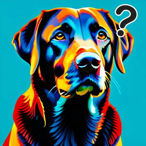 Jt uh[go[ A[g NGX`}[N wi NbVJo[ 45×45cm Aj}   NbV{̕t `