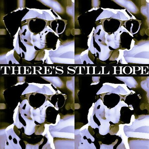 �T���O���X �_�����V�A�� �e�L�X�g �܂���]������ �N�b�V�����J�o�[ 45×45cm �A�j�}���� ������� ���� �N�b�V�����{�̕t�� �����`