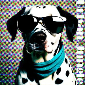 Kl _VA XJ[t Jtwi t@bV NbVJo[ 45×45cm Aj}   NbV{̕t `