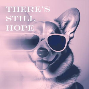 �T���O���X �R�[�M�[ �Ί� ��] �N�b�V�����J�o�[ 45×45cm �A�j�}���� ������� ���� �N�b�V�����{�̕t�� �����`