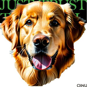  S[fgo[ S[fEgo[ ^ ̊ ybg NbVJo[ 45×45cm Aj}   NbV{̕t `