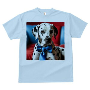 TVc Y LbY t@  t  vg JWA 킢 lԗp tBbglX _X lN^C _VA Ԃwi