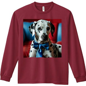 TVc lԗp Y Ht vg W[ AEghA JWA 킢 t@ lN^C _VA Ԃwi