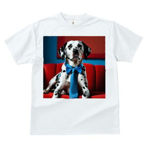 TVc Y LbY t@  t  vg JWA 킢 lԗp tBbglX _X lN^C _VA lN^C Ԃ\t@