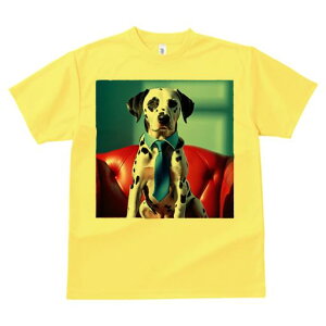 TVc Y LbY t@  t  vg JWA 킢 lԗp tBbglX _X Ԃ\t@[ _VA lN^C wi xxbg\t@[ ̈ߑ