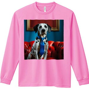 TVc lԗp Y Ht vg W[ AEghA JWA 킢 t@ Ԃ\t@ _VA lN^C z