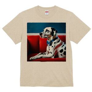 TVc Y LbY t@  t  vg JWA 킢 lԗp tBbglX _X Ԃ\t@ _VA wi lN^C