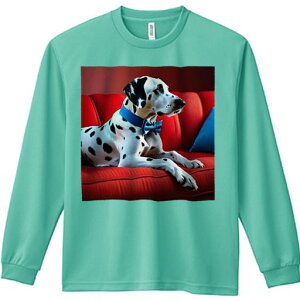 TVc lԗp Y Ht vg W[ AEghA JWA 킢 t@ \t@ _VA  NbV  lN^C