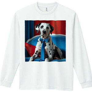 TVc lԗp Y Ht vg W[ AEghA JWA 킢 t@ lN^C _VA lN^C \t@ Ԃ ԂƐ̔wi